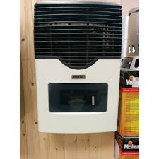 Martin Direct Vent Thermostatic Wall Mounted Heater w/window 11,000 Btu