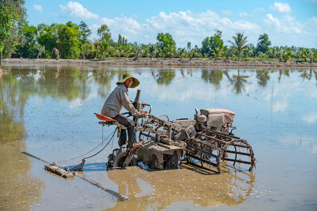 Essential Water Harvesting Techniques for Off-Grid Homes