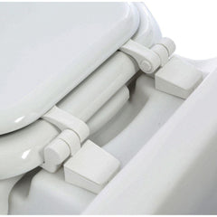Laveo Dry Flush AC Powered Toilet - DF1045AC