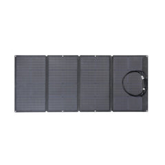 EcoFlow RIVER Pro + 160W Portable Solar Panel