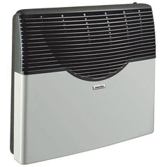 Martin Direct Vent Thermostatic Wall Mounted Heater 20,000 Btu